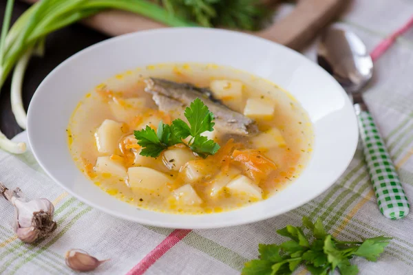 Fresh soup of river fish in the plate — Stock Photo, Image