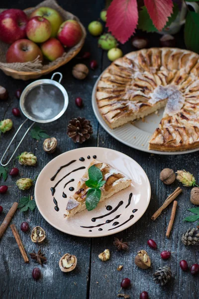 Slice of homemade apple pie with fresh apples — Stock Photo, Image