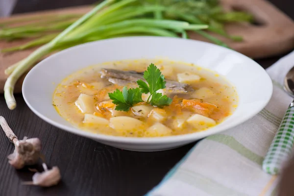 Fräsch soppa av floden fisk i plattan — Stockfoto