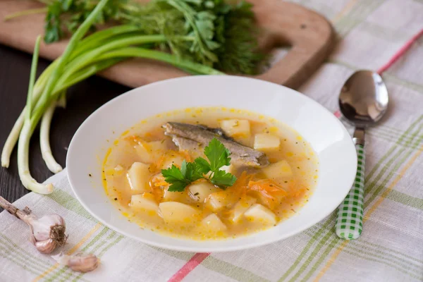 Fresh soup of river fish in the plate — Stock Photo, Image