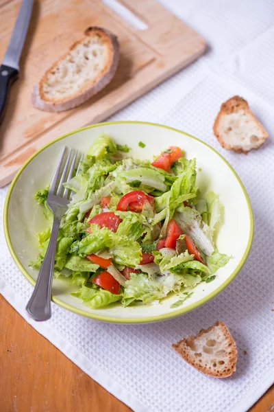 Salad with lettuce leaves, cucumber and tomatoes — Stock Photo, Image