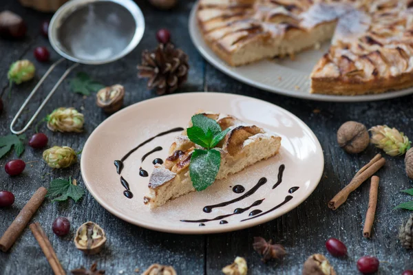 Slice of homemade apple pie with fresh apples — Stock Photo, Image