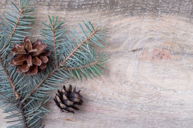 Noel ve yeni yıl dekorasyon arka plan köknar ağacı dalları