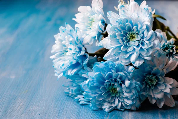 bouquet of  blue chrysanthemum flowers