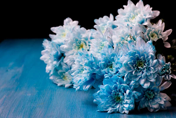 Букет з синіх квітів хризантеми — стокове фото