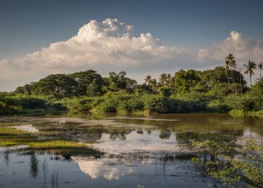 Vennar Nehri boyunca orman üzerinde fırtına toplar.