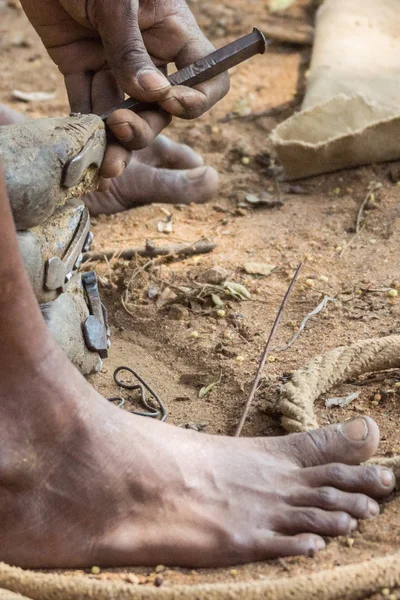 Meißelschuh aus Büffelfuß. — Stockfoto