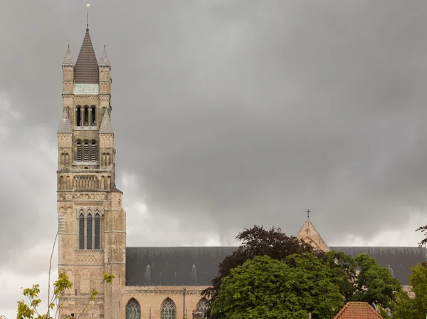 Kule ve çatı Sint Salvator Cathedral.