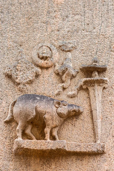 Vishnu Kallalagar Tapınağı'nda dördüncü avatar olarak yaban domuzu. — Stok fotoğraf