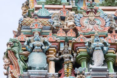 Lord Vishnu iki avatarları: balık ve kaplumbağa.
