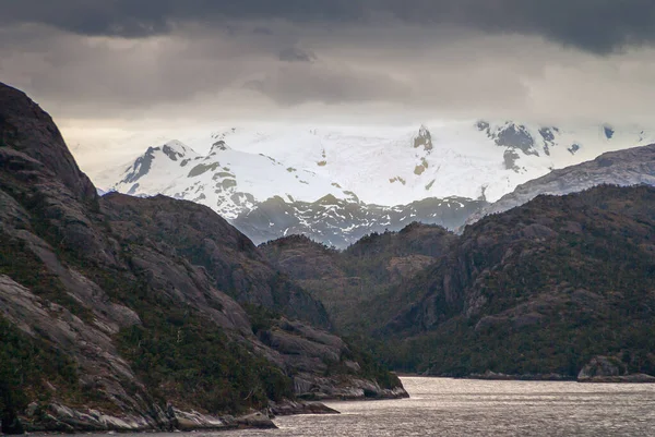 Sarmiento Channel 2008年12月11日 Amalia Glacier Fjord 山頂には白い雪が見え 暗い岩場の丘に囲まれ 水の端には緑の葉が光を反射しています — ストック写真
