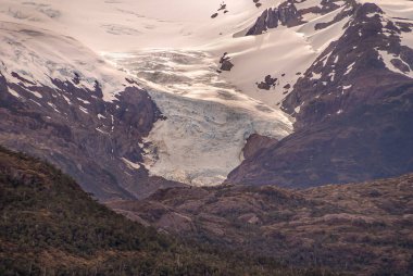 Sarmiento Kanalı, Şili - 11 Aralık 2008: Kahverengi kayalar ve yeşil yapraklar üzerindeki Amalia Buzulu 'nun kapatılması.
