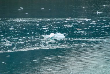 Sarmiento Kanalı, Şili - 11 Aralık 2008: Amalia Buzulu. Yeşil eriyen suda yüzen mavimsi buz parçalarının yakın çekimi.