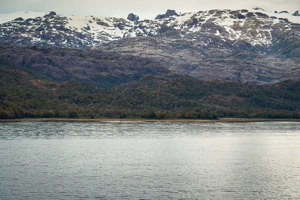 Sarmiento Channel 2008年12月11日 Amalia Glacier Fjord 丘陵や銀水路の水の緑の葉のベルトの後ろの黒い岩の山の範囲の雪 — ストック写真