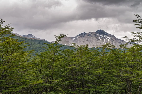 Ushuaia Terre Feu Argentine Décembre 2008 Montagnes Martiales Dans Réserve — Photo