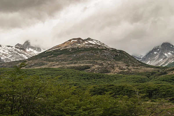 Ushuaia Feuerland Argentinien Dezember 2008 Martial Mountains Nature Reserve Grüner — Stockfoto