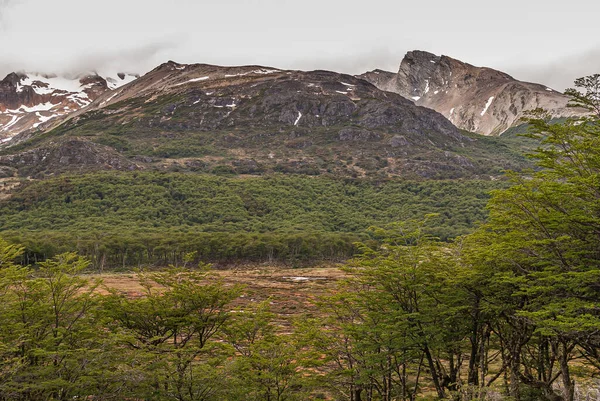 Ushuaia Tierra Del Fuego Argentína 2008 December Harci Hegyek Természetvédelmi — Stock Fotó