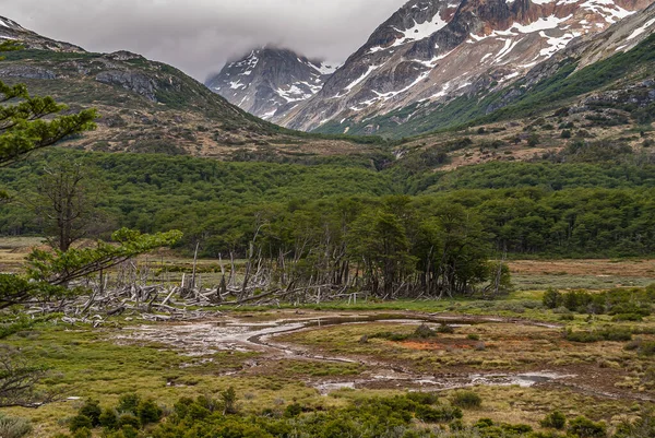 Ushuaia Tierra Del Fuego Аргентина Грудня 2008 Бойові Гори Природному — стокове фото