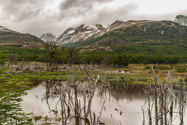 Ushuaia Tierra Del Fuego Argentinië December 2008 Martial Mountains Nature — Stockfoto