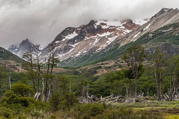 Ushuaia Tierra Del Fuego Argentina Diciembre 2008 Montañas Marciales Reserva —  Fotos de Stock