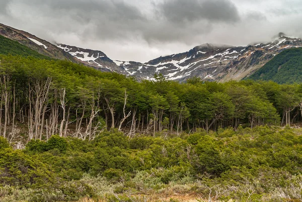 Ushuaia Tierra Del Fuego Argentinië December 2008 Martial Mountains Nature — Stockfoto