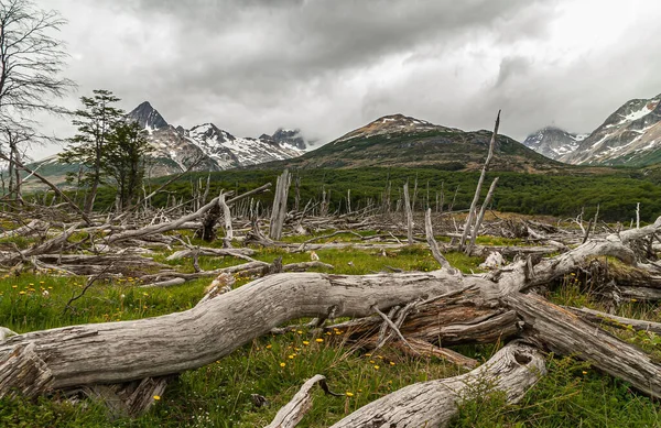 Ushuaia Tierra Del Fuego Argentina Prosince 2008 Bojové Hory Přírodní — Stock fotografie