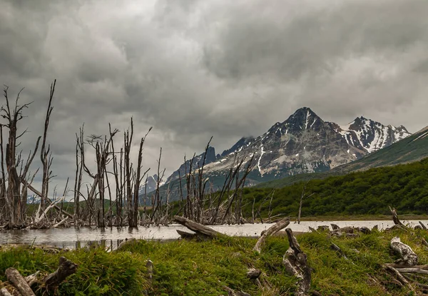 Ushuaia Tierra Del Fuego Argentinië December 2008 Martial Mountains Nature — Stockfoto