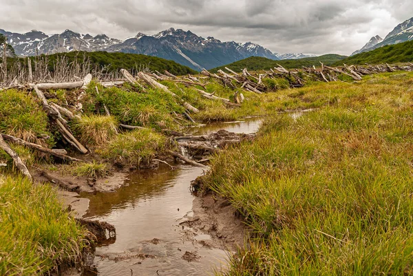 Ushuaia Tierra Del Fuego Argentina 2008 Martial Mountains Nature Small — 스톡 사진