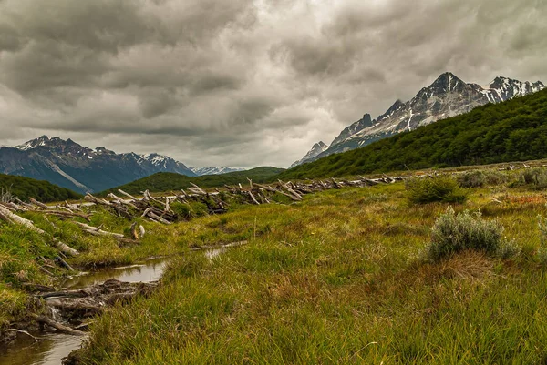 Ushuaia Tierra Del Fuego Argentyna Grudnia 2008 Góry Walki Rezerwacie — Zdjęcie stockowe