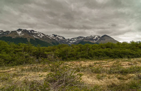 Ushuaia Tierra Del Fuego Argentína 2008 December Harci Hegyek Természetvédelmi — Stock Fotó