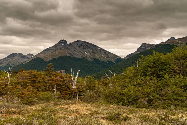 Ushuaia Tierra Del Fuego Argentinië December 2008 Martial Mountains Nature — Stockfoto