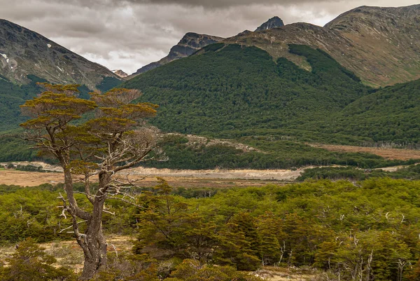 Ushuaia Tierra Del Fuego Argentinië December 2008 Martial Mountains Nature — Stockfoto