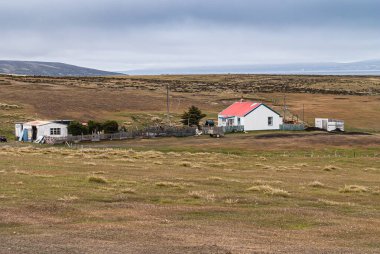 Stanley, Falkland Adaları, İngiltere - 15 Aralık 2008: Açık mavi gökyüzü altında kuru çayır rüzgarlı arazide kırmızı çatılı beyaz çiftlik binası. Etraftaki ahır ve diğer eşyalar.