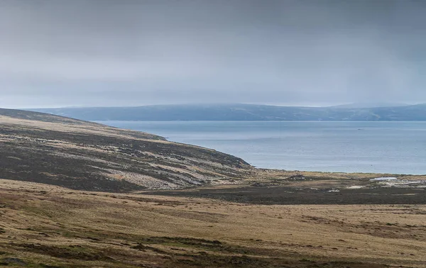 Stanley Falklandinseln Großbritannien Dezember 2008 Windgebeuteltes Grünes Und Trockenes Grasland — Stockfoto