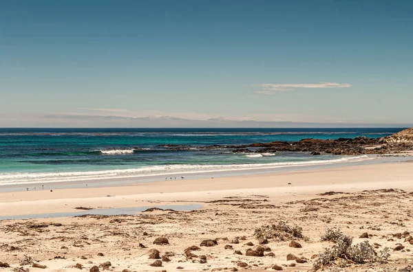 Volunteer Beach Falkland Islands December 2008 Wide View Beige Sand — Stock Photo, Image