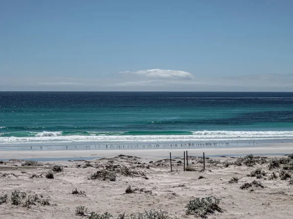 Volunteer Beach Falkland Islands December 2008 Wide Shot Shows Sand — стоковое фото