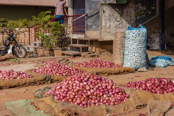 Hassan Karnataka India Noviembre 2013 Primer Plano Múltiples Montones Cebollas —  Fotos de Stock