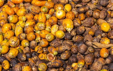 Kadenahalli, Karnataka, Hindistan - 3 Kasım 2013: Çöpe atılmış sarı ve kahverengi çürük deri ve betel fındığı, nam-ı diğer Areca fındıkları. Görünür kesikler.