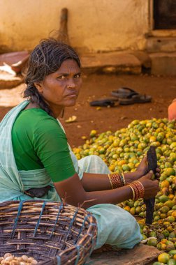 Kadenahalli, Karnataka, Hindistan - 3 Kasım 2013: Soluk kahverengi fındıklı yeşil eti keserek taze hasat edilmiş betel fındıklarını kesen haşin kadının ön kapanışı.