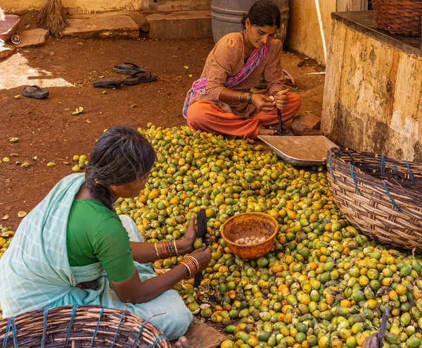 Kadenahalli Karnataka Índia Novembro 2013 Encerramento Mulheres Sentadas Cortando Nozes — Fotografia de Stock