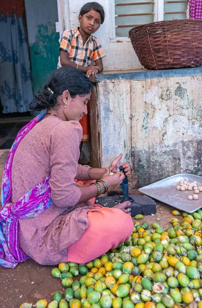 インド カルナータカ州カデナハリ2013年11月3日 幼い息子が見ている間に 固定ナイフでビンロウの実からナットを切り出す女性の閉鎖 収穫されたばかりの緑のボールのヒープ — ストック写真