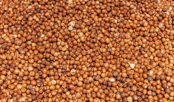 Kadenahalli Karnataka India November 2013 Closeup Heap Dried Betel Nuts — Stock Photo, Image
