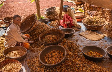 Chikkanayakanahalli, Karnataka, Hindistan - 3 Kasım 2013: 2 kadın kuru çöp yığınının yanında oturan betel cilt ve meyve atıklarını ayırıp topluyor.