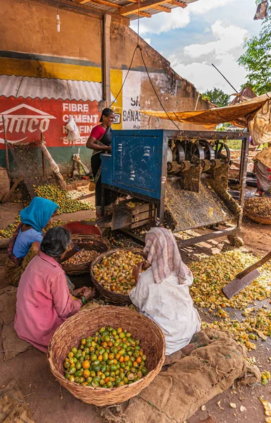 Chikkanayakanahalli Karnataka India November 2013 Blauwe Machine Snijdt Betelnoten Uit — Stockfoto