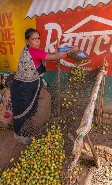 Chikkanayakanahalli Karnataka Indien November 2013 Frau Wirft Stolz Betelfrüchte Auf — Stockfoto