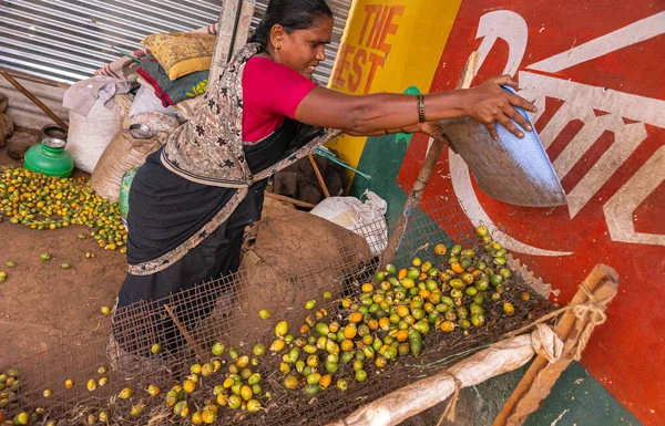 Chikkanayakanahalli Karnataka India Noviembre 2013 Mujer Arroja Frutas Betel Bandeja —  Fotos de Stock