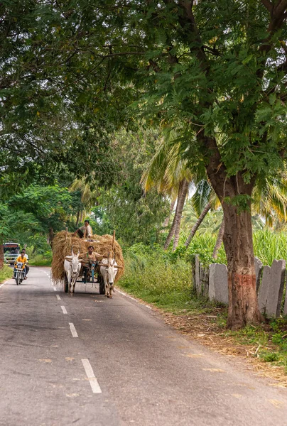 Hampi Karnataka India November 2013 Κατά Μήκος Του Δρόμου Σκιάζεται — Φωτογραφία Αρχείου