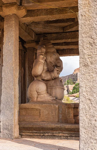 Krishnapura Karnataka India November 2013 Side View Sasivekaly Ganesha Mustard — 图库照片