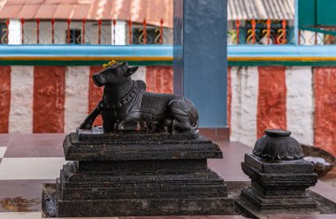 Kadirampura, Karnataka, Hindistan - 4 Kasım 2013: Sri Murugan Tapınağı. Lord Shiva tapınağının önündeki boğa Nandi 'nin siyah heykeline yaklaş. Kırmızı-beyaz duvar arkada..