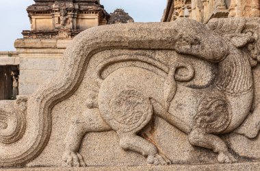 Hampi, Karnataka, Hindistan - 5 Kasım 2013: Sri Krishna tapınağı yıkıldı. Yılan ısıran aslan başı arasındaki kavgayı tasvir eden bej taşlı balina adımlarının yakın çekimi..